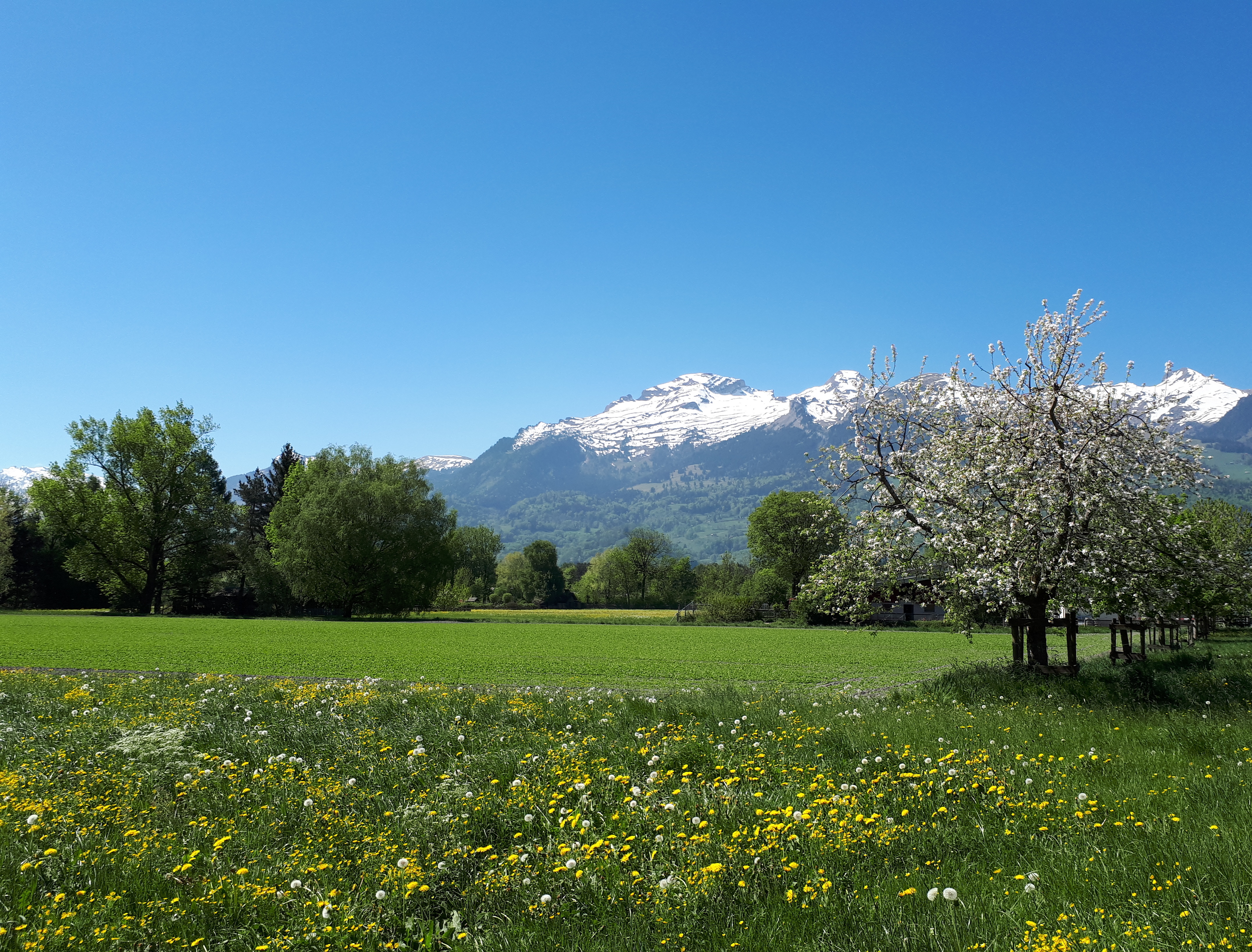 Von der Pandemie in den Krieg 